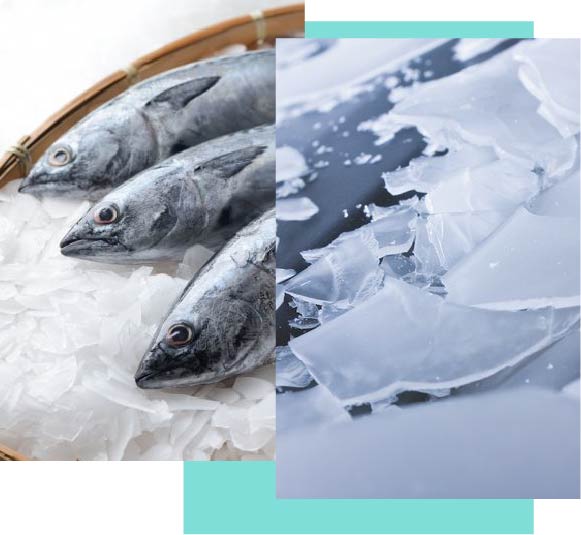 hielos-nevada-ahorro-costes-hielo-escamas hielos-nevada-ahorro-costes-hielo-escamas