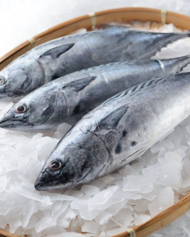 hielo-en-escamas-para-pescaderías-hielos-nevada hielo-en-escamas-para-pescaderías-hielos-nevada